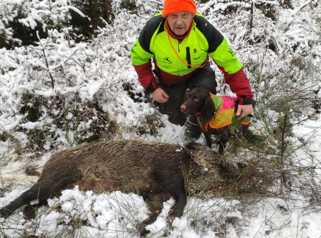 Jagdhundeausbildung Jagdhunde-Ausbildungsstätte für Jagdhunde
