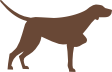 Jagdhunde-Ausbildungsstätte WAID & HUND - Fischbach