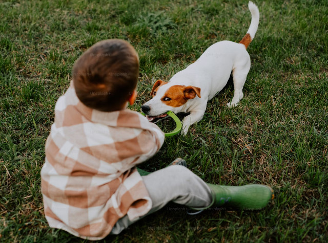 Jagdhundeausbildung Jagdhunde-Ausbildungsstätte für Jagdhunde