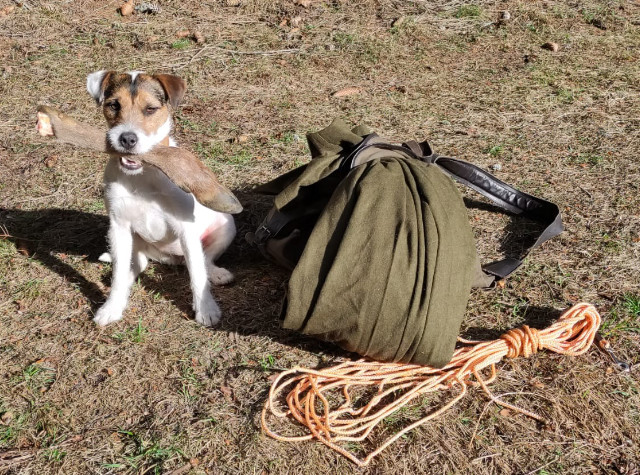 Jagdhundeausbildung Jagdhunde-Ausbildungsstätte für Jagdhunde