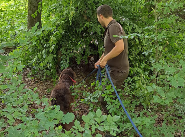 Jagdhundeausbildung Jagdhunde-Ausbildungsstätte für Jagdhunde